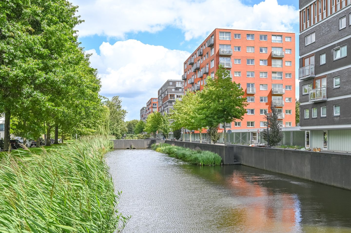 Foto 40 van Anna Blamansingel 77