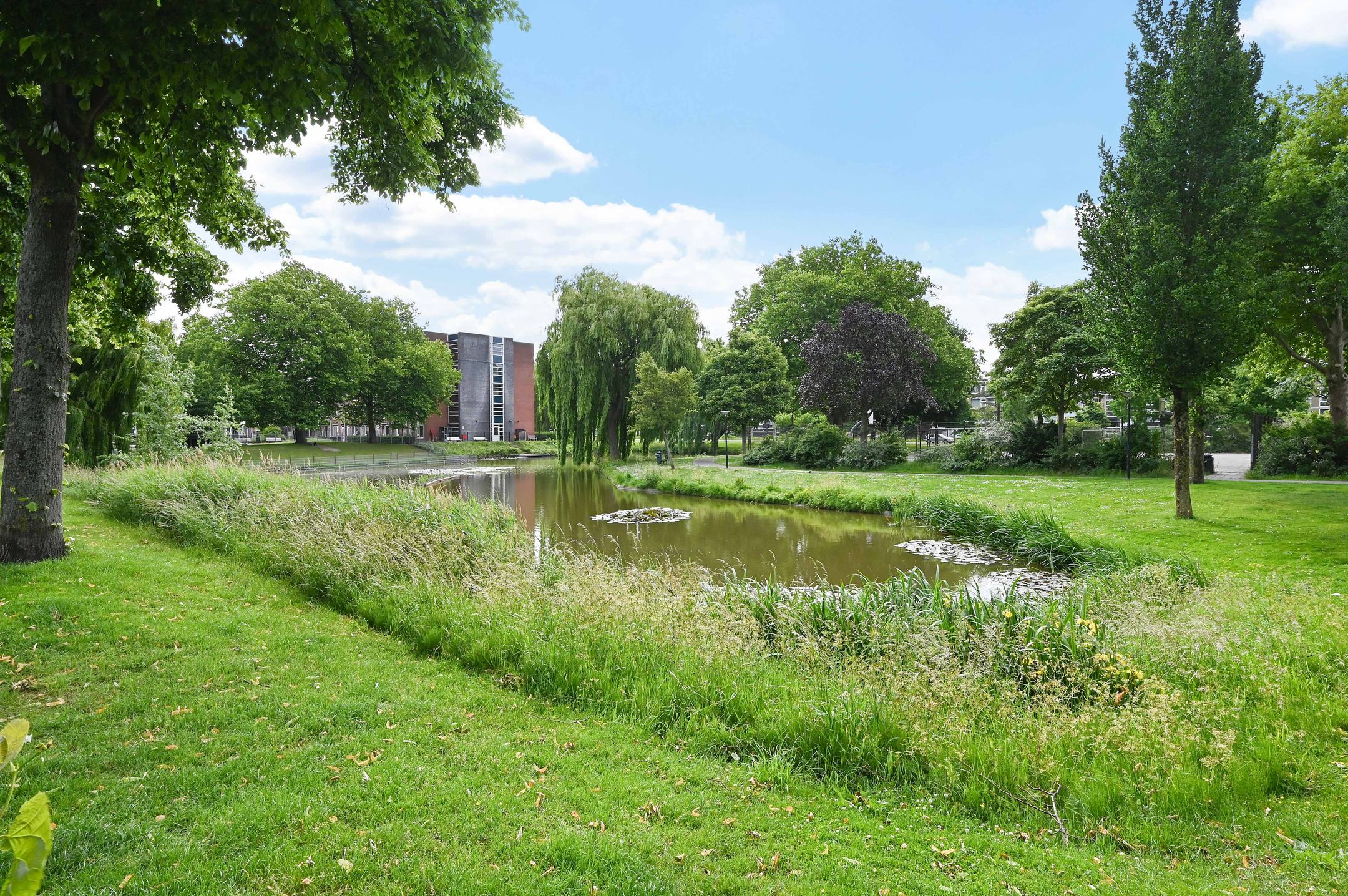 Photo 48 of Henriëtte Roland Holststraat 19