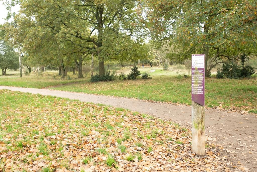 Photo 22 of Admiraal de Ruyterlaan 119