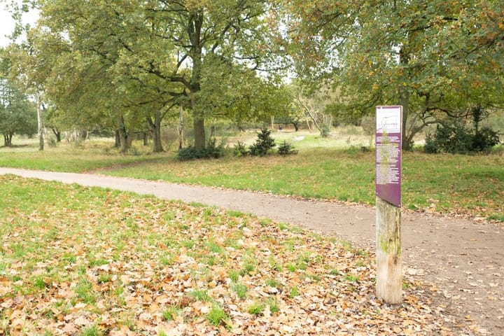 Foto 22 van Admiraal de Ruyterlaan 119