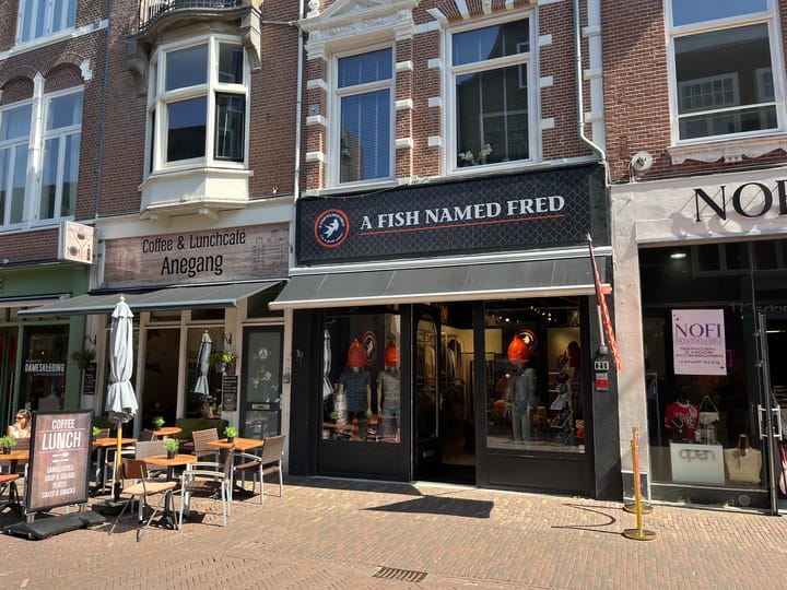 Anegang 21, Haarlem