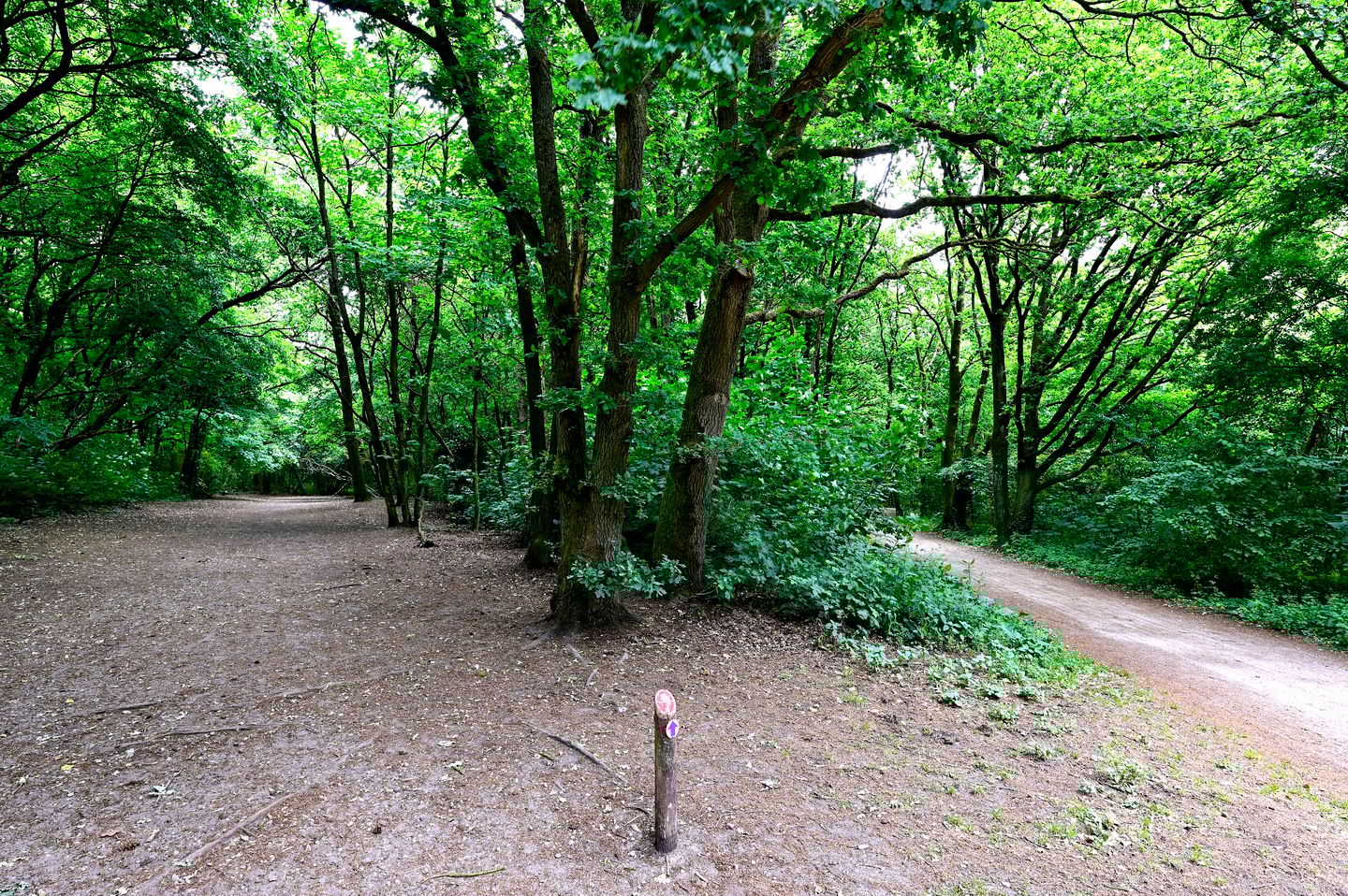 Foto 19 van Siriusstraat 5