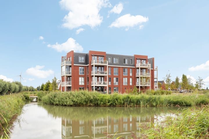 Foto 1 van Kuifeend 13