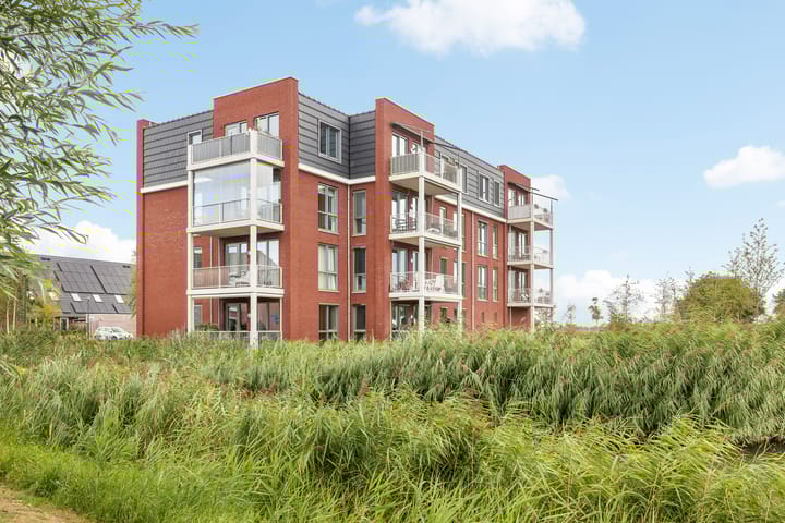 Foto 3 van Kuifeend 13