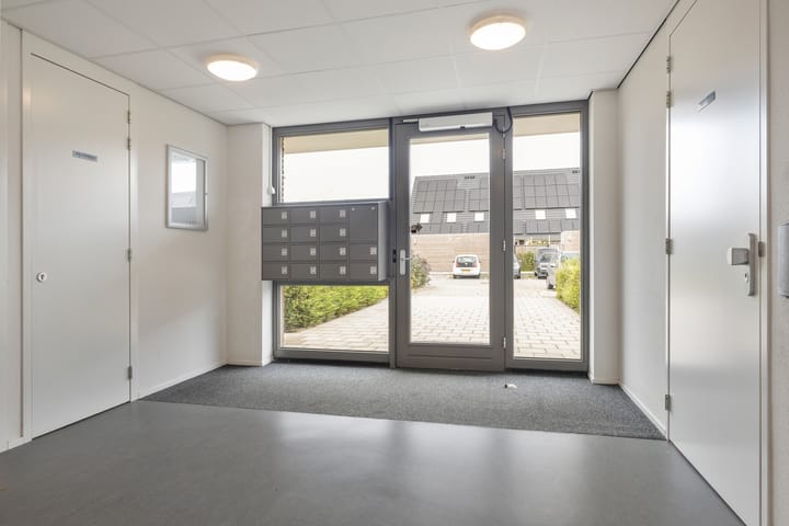 Foto 4 van Kuifeend 13