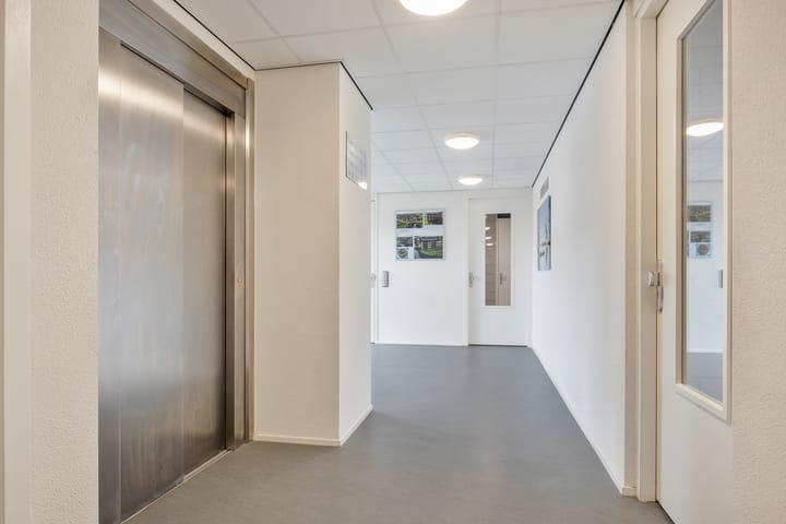 Foto 5 van Kuifeend 13