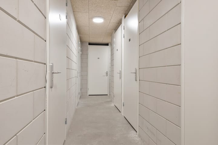 Foto 6 van Kuifeend 13