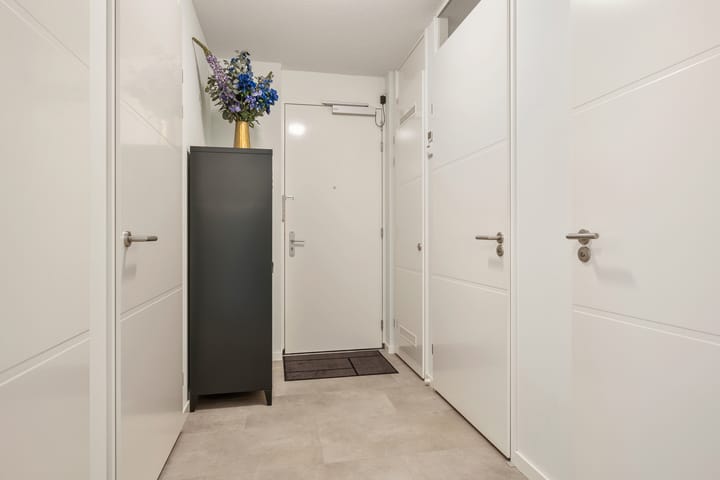 Foto 8 van Kuifeend 13