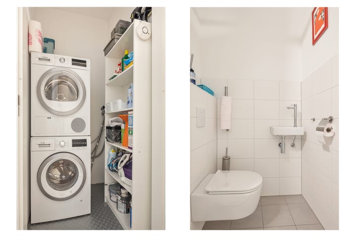 Foto 22 van Kuifeend 13