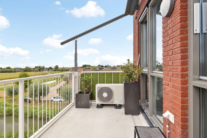 Foto 23 van Kuifeend 13