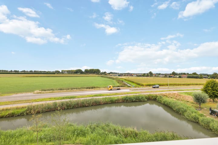 Foto 26 van Kuifeend 13