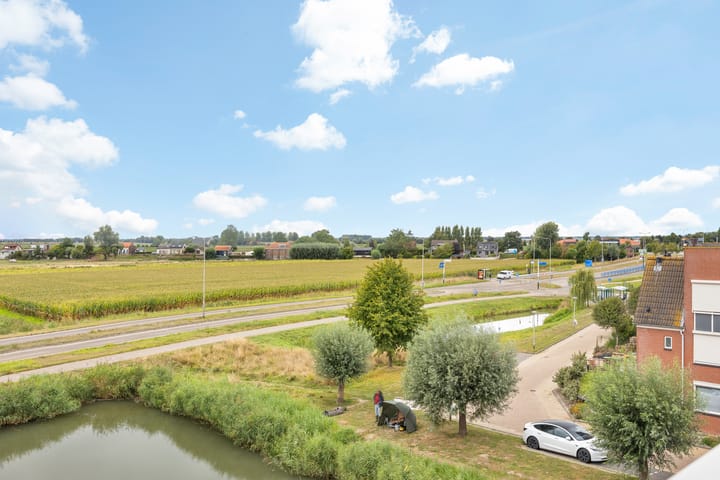 Foto 27 van Kuifeend 13