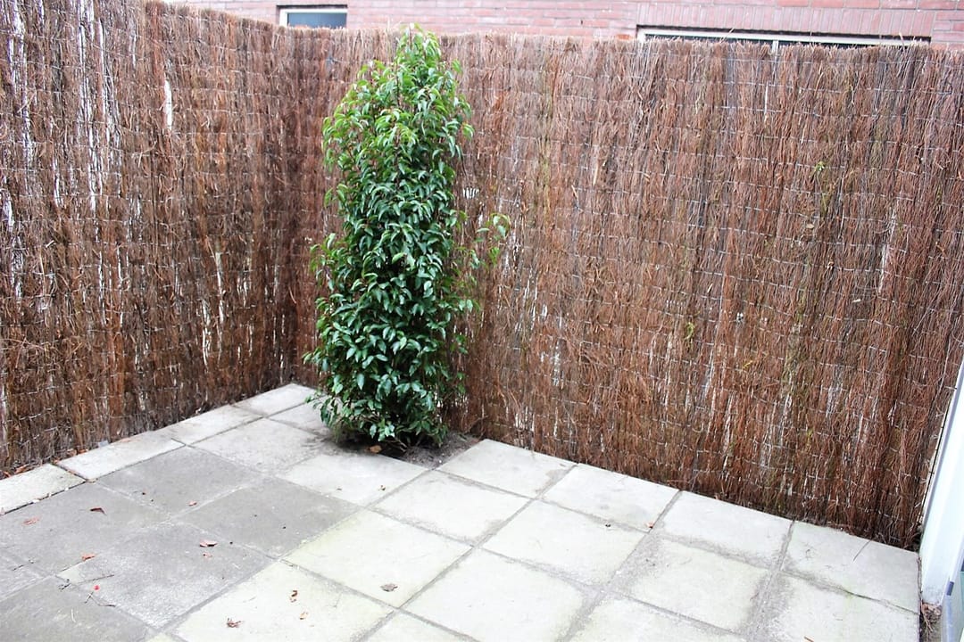 Photo 16 of Achter Sint Annahof 6-A