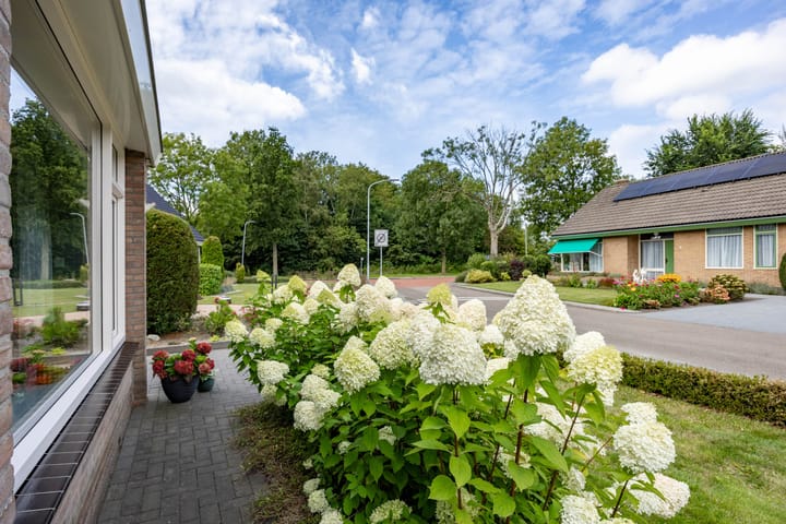 Foto 6 van De Lijnbaan 21