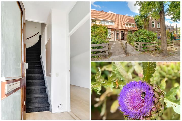 Foto 5 van Korte Bergweg 30