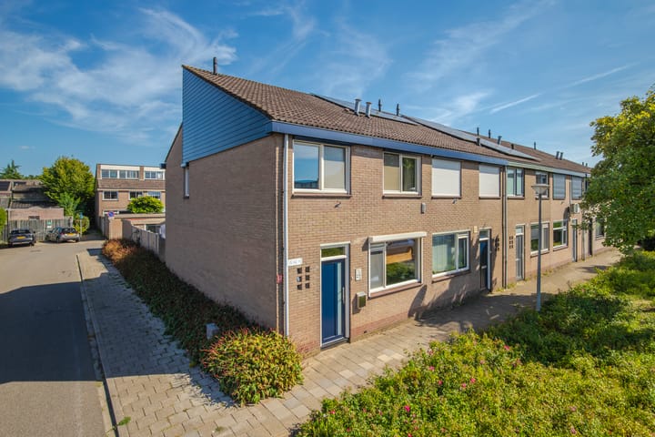 Foto 5 van Looyenland 25