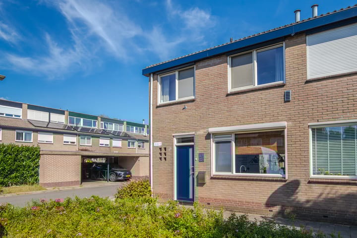 Foto 6 van Looyenland 25