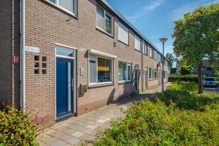 Foto 7 van Looyenland 25