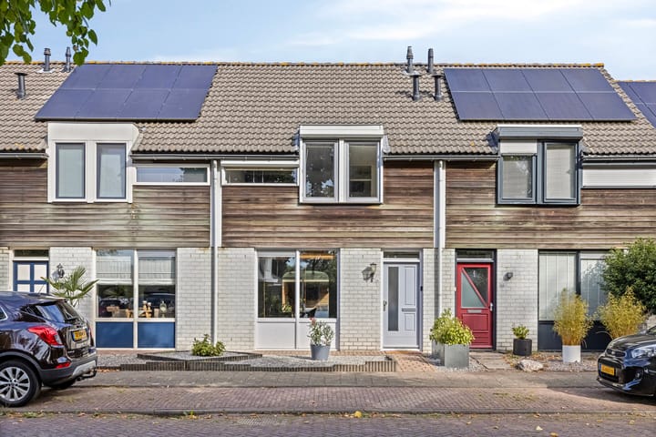 Foto 1 van De Knolraap 35