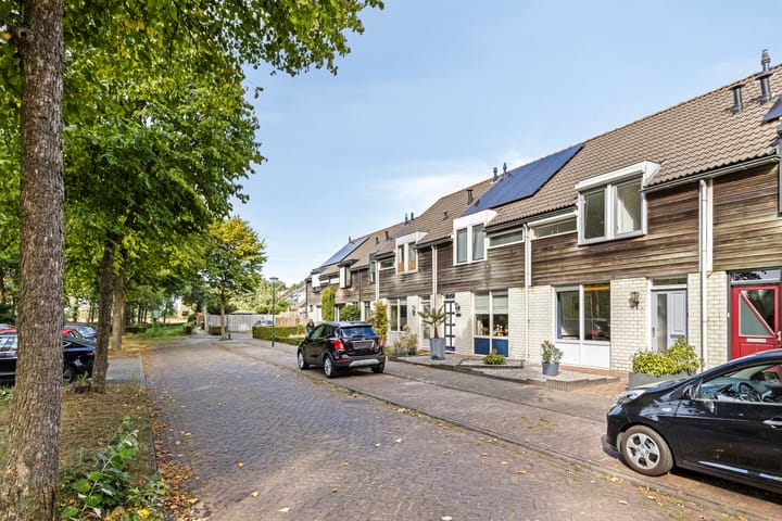 Foto 22 van De Knolraap 35