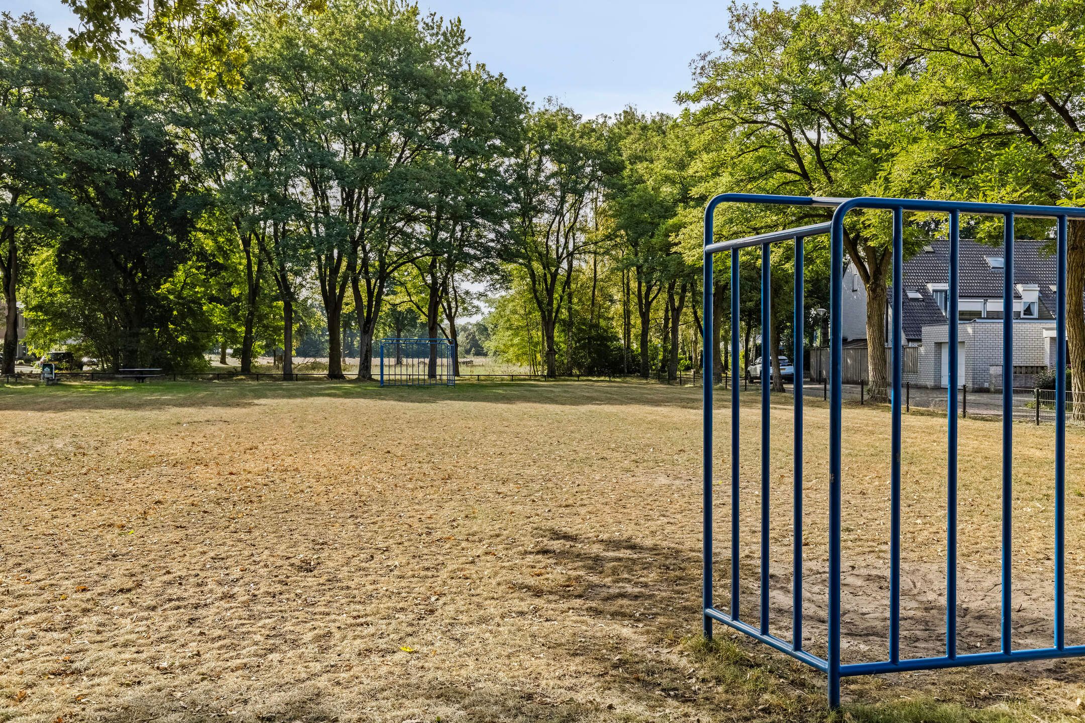 Foto 24 van De Knolraap 35