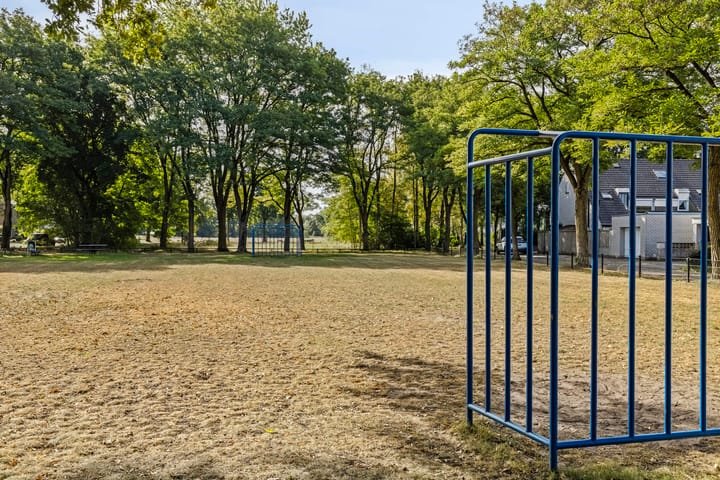 Foto 24 van De Knolraap 35