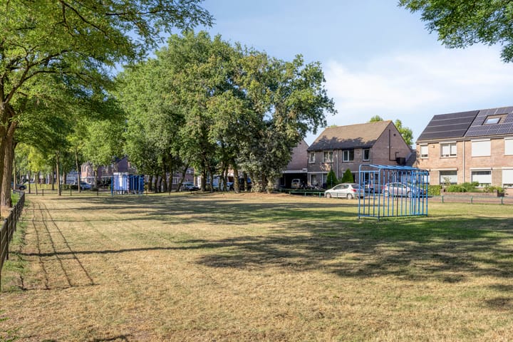 Foto 25 van De Knolraap 35