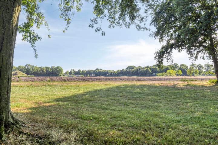 Foto 26 van De Knolraap 35