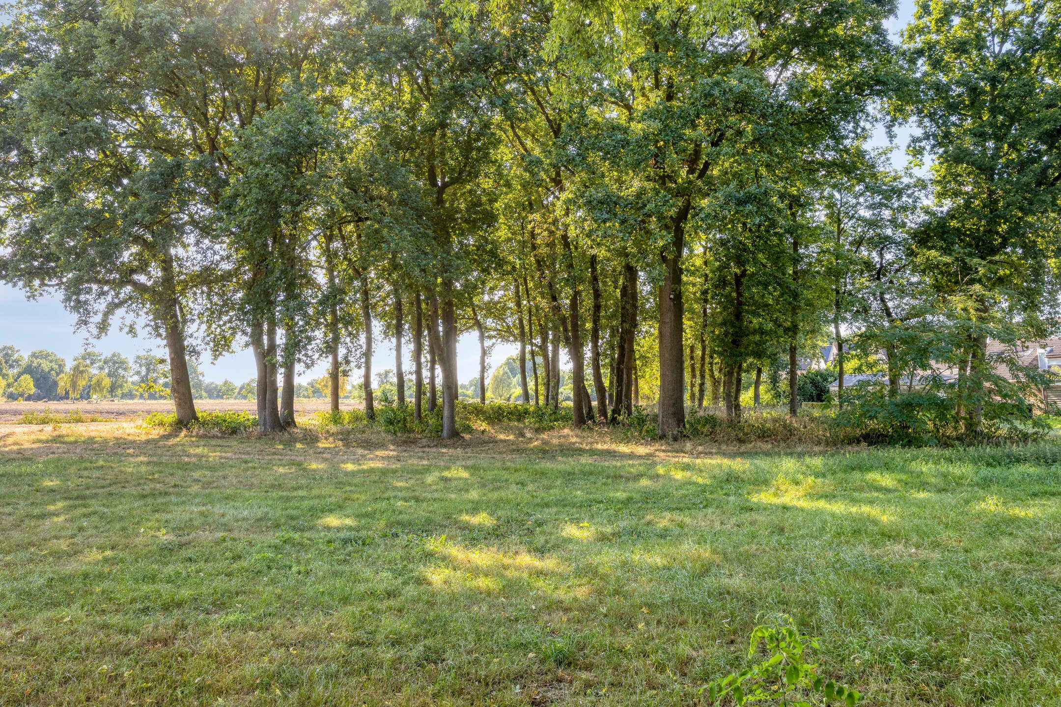 Foto 27 van De Knolraap 35