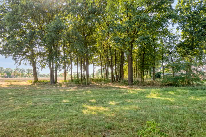 Foto 27 van De Knolraap 35