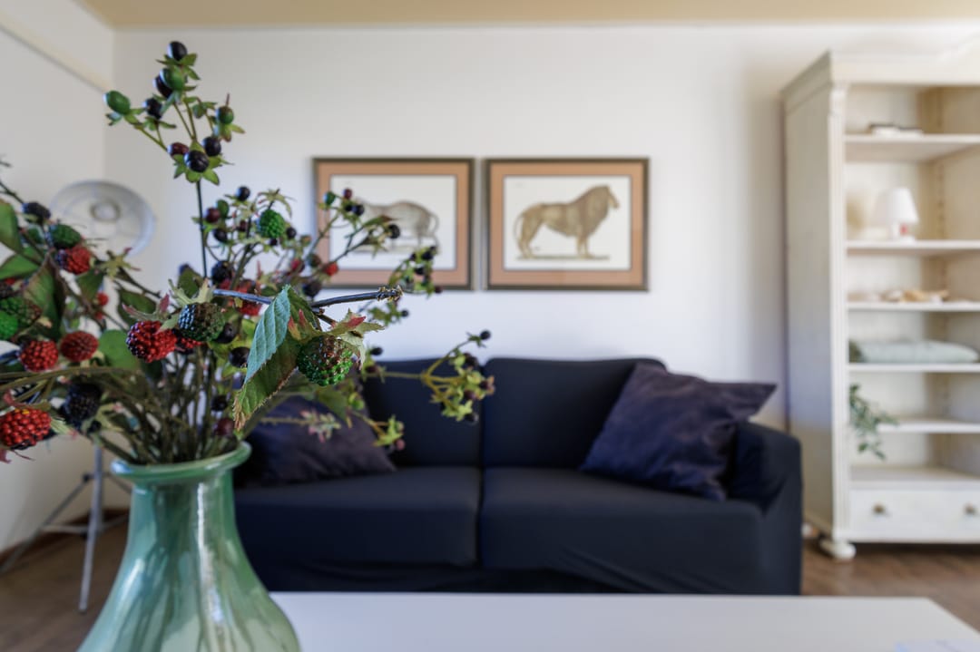 Foto 16 van Hortensiastraat 20