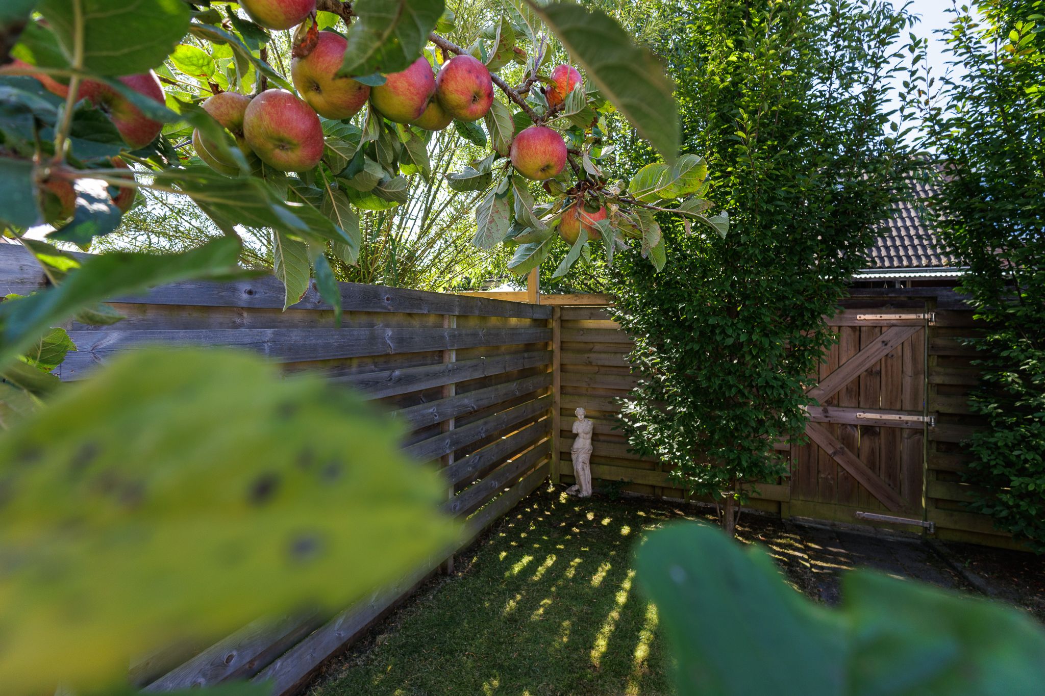 Foto 24 van Hortensiastraat 20