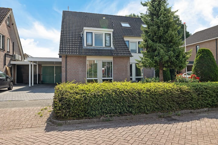 Foto 3 van Goudenregen 18