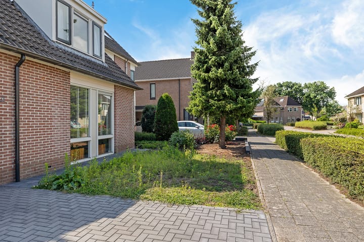 Foto 4 van Goudenregen 18