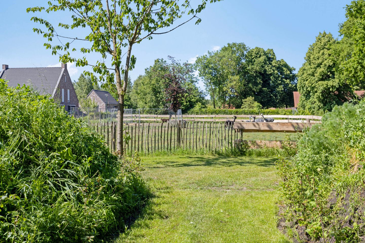 Foto 40 van Kreijtenberg 3