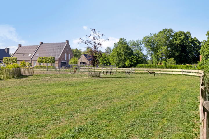 Foto 41 van Kreijtenberg 3