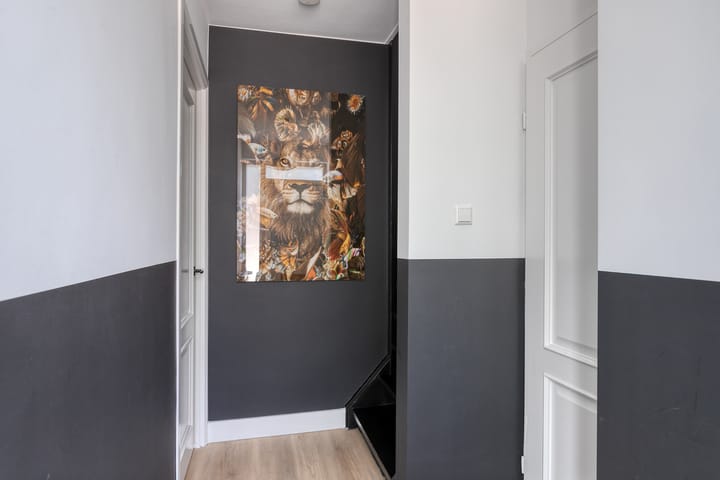 Foto 5 van Dommel 35