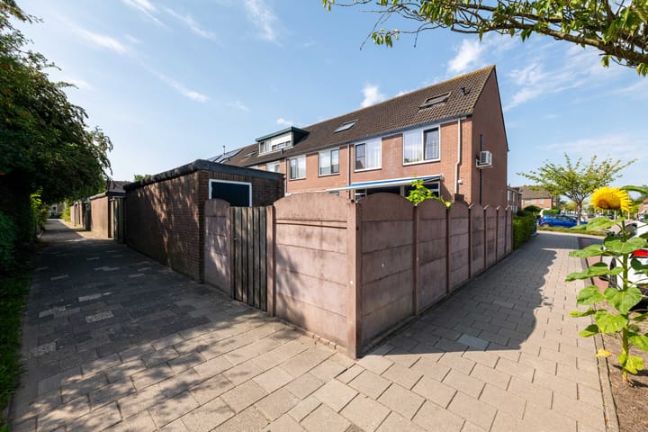 Foto 36 van Softbalpad 48