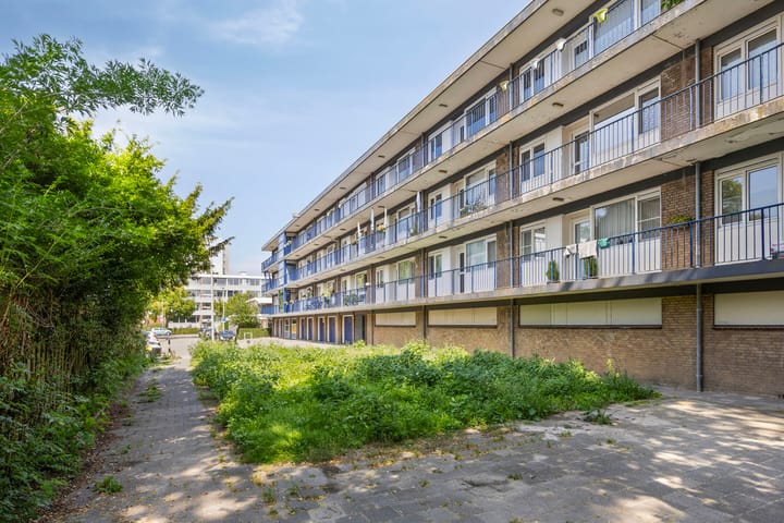 Foto 4 van Platostraat 188