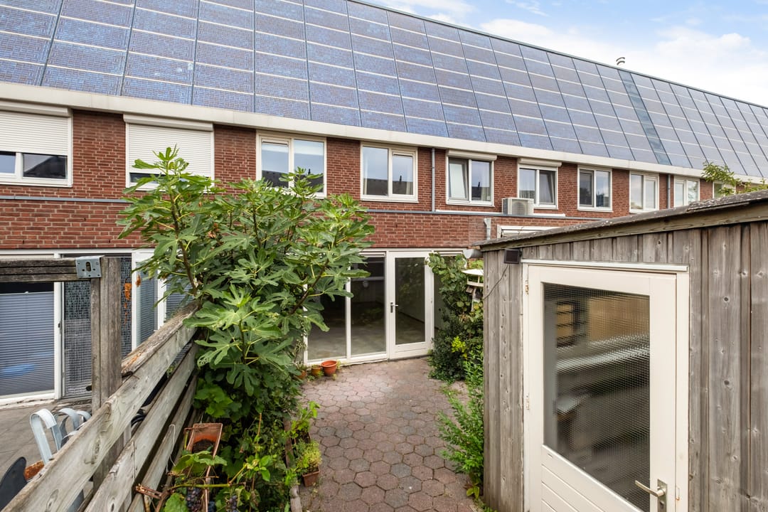 Foto 23 van Pitrus 34