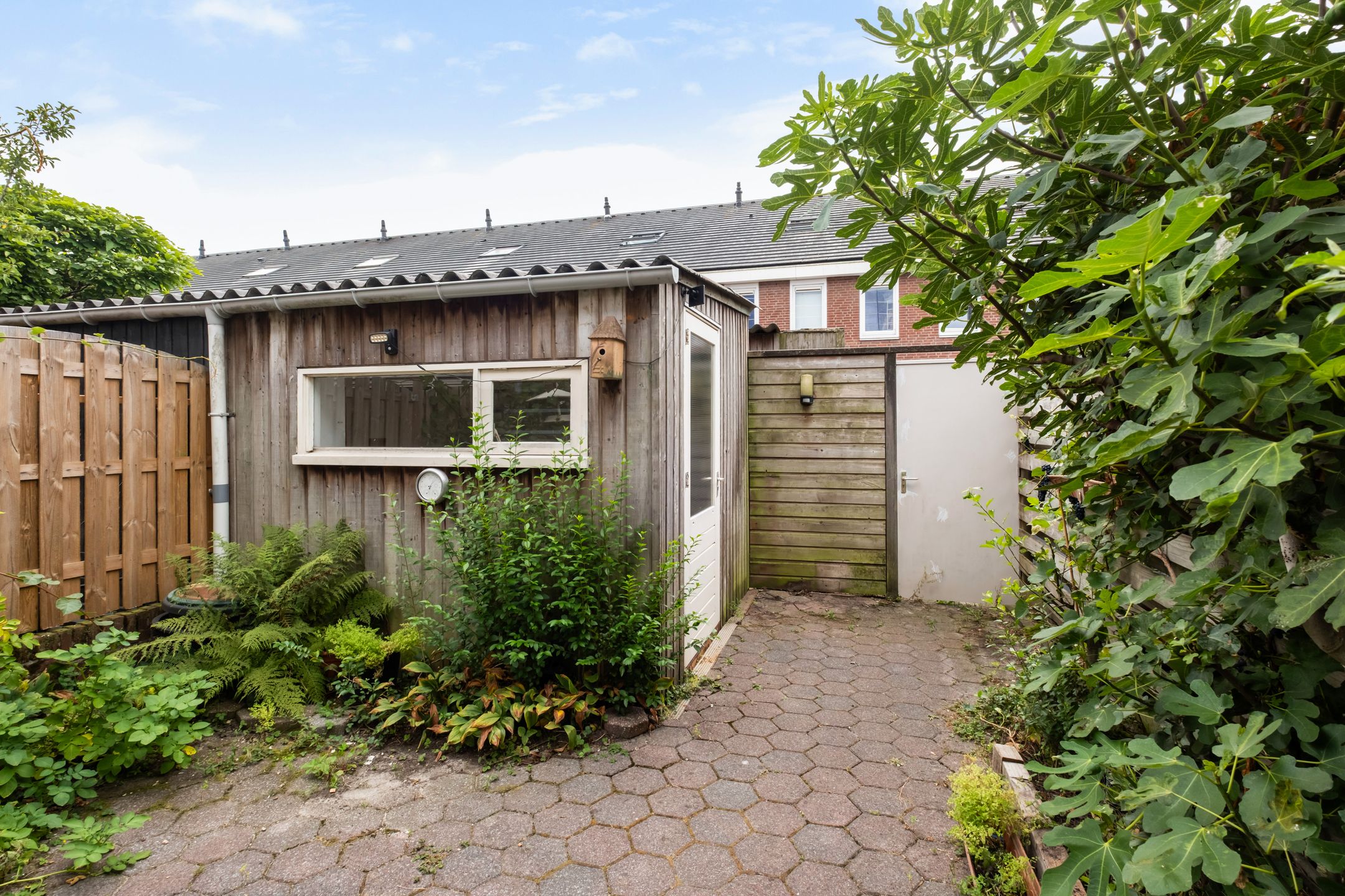 Foto 24 van Pitrus 34