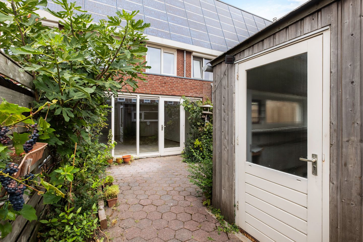 Foto 25 van Pitrus 34