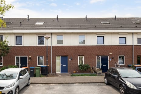 undefined main image