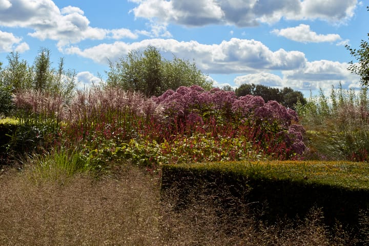 Foto 6 van De Haal 72