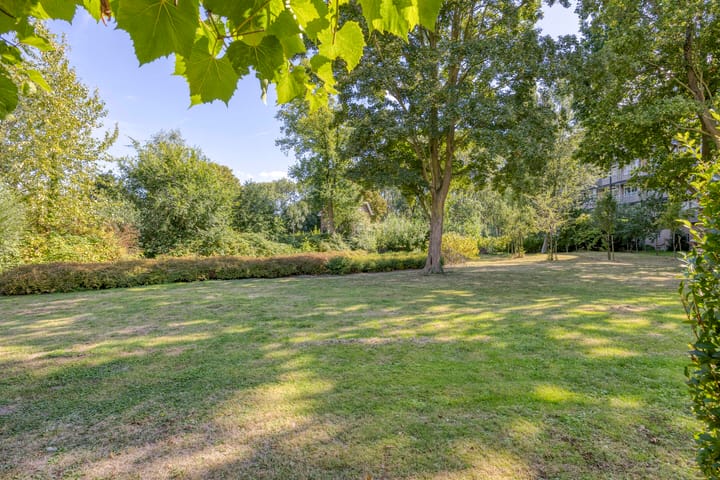 Foto 27 van Thorbeckelaan 5