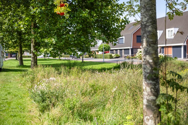 Foto 27 van de Hagen 161