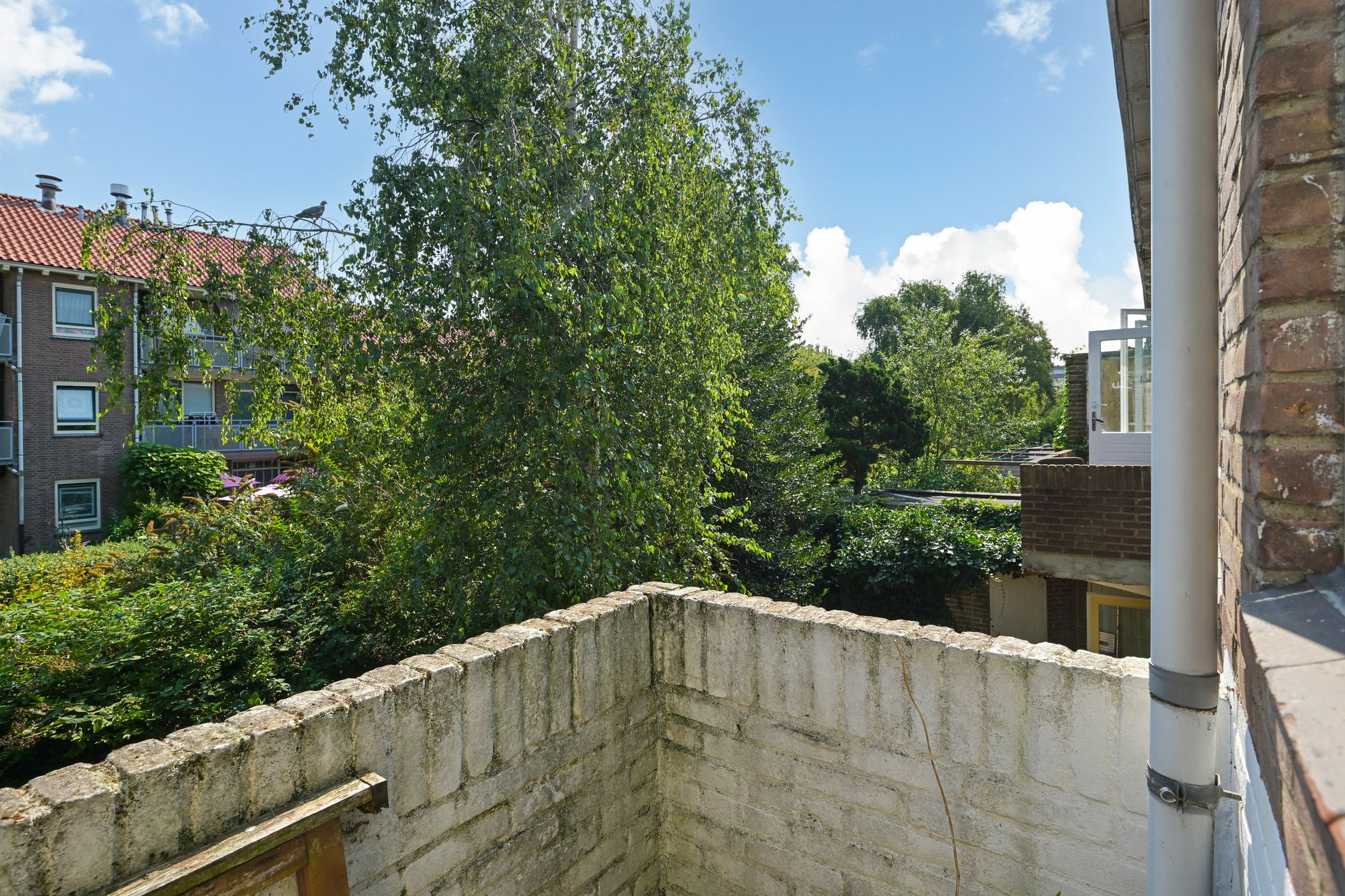 Foto 18 van Frederik van Eedenstraat 84