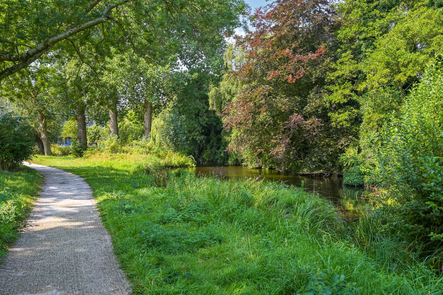 Foto 34 van Frederik van Eedenstraat 84