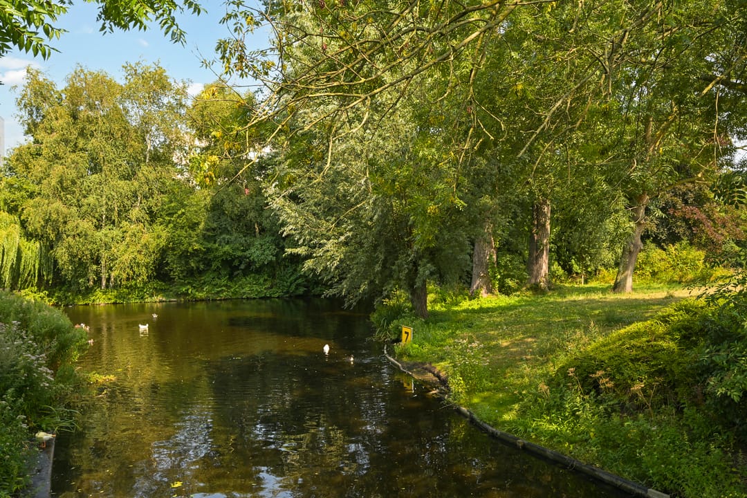 Foto 37 van Frederik van Eedenstraat 84