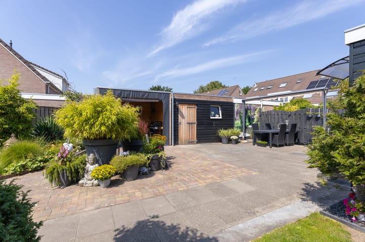 Foto 29 van Buitenhof 6